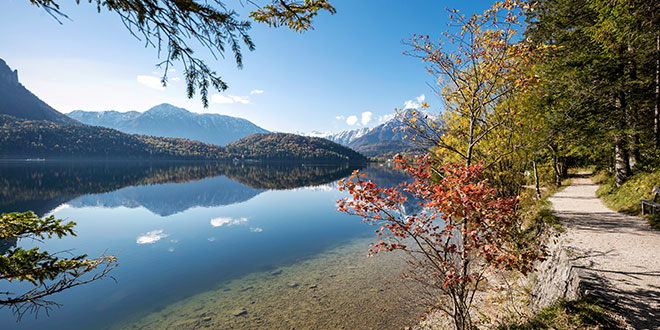 Header - Bild8