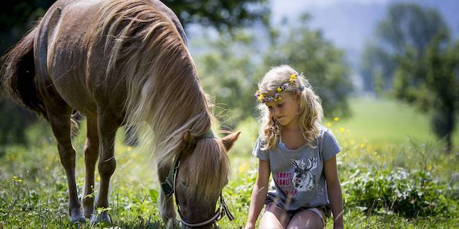 Header - Bild10